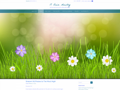 17daise.com snapshot