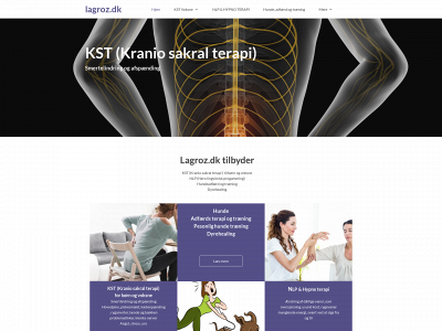 lagroz.dk snapshot