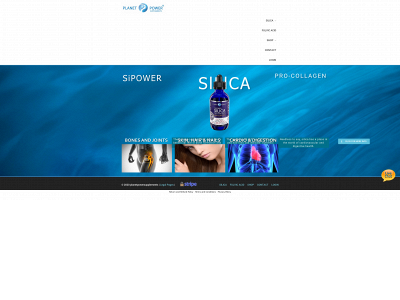 planetpowersupplements.com snapshot
