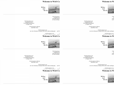 wao.com snapshot