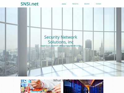snsi.net snapshot