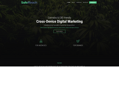 safe-reach.com snapshot