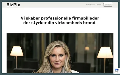 bizpics.dk snapshot