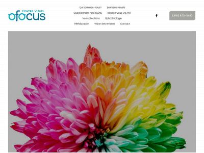 ofocus.ca snapshot