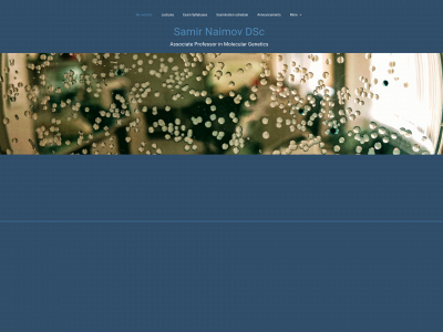 snaimov.com snapshot