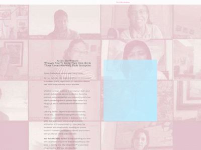 shesonlineacademy.com snapshot