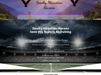 smr-nation.com snapshot