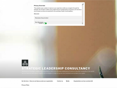 strategicleadershipconsultancy.com snapshot