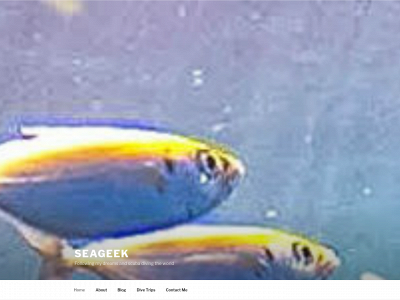 seageek.co.nz snapshot
