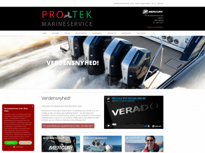 protekmarineservice.dk snapshot