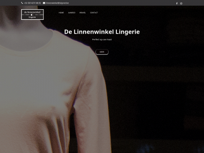 delinnenwinkel.net snapshot