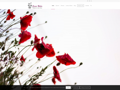 senairubio.com snapshot
