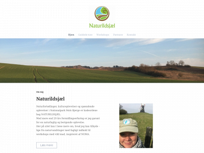 anitasoeholm.dk snapshot