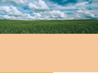 field2fork.be snapshot