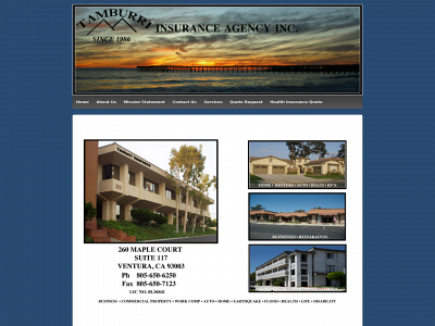 tamburriinsurance.com snapshot