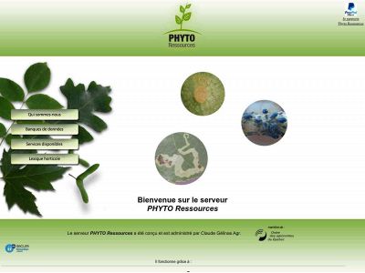 phyto.qc.ca snapshot
