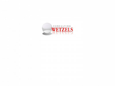 wetzels-consulting.com snapshot
