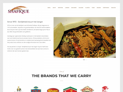 shafique.nl snapshot