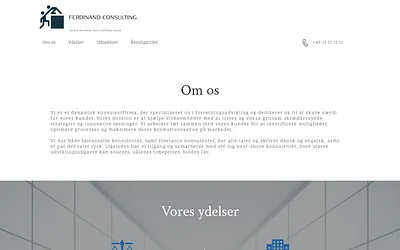 ferdinand-consulting.com snapshot