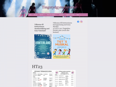 tingsrydgymnasterna.se snapshot