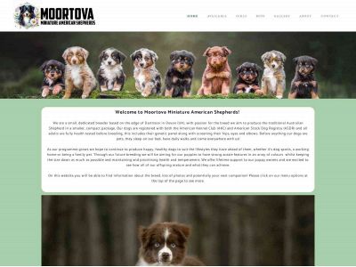 www.moortova.com snapshot