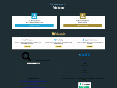fidelio.ae snapshot
