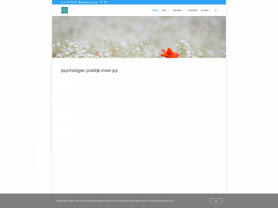 inner-joy.com snapshot