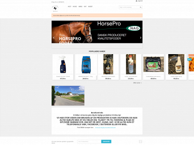 bendtsminde.dk snapshot