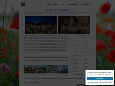 schorschi.dk snapshot