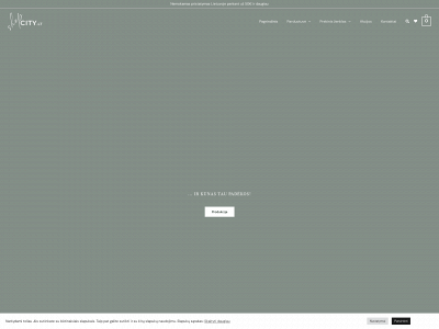 shopcity.lt snapshot