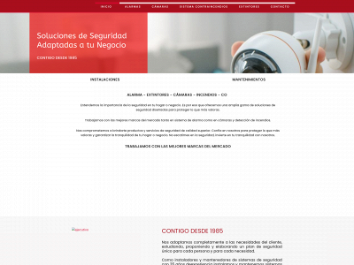 sosypseguridad.es snapshot