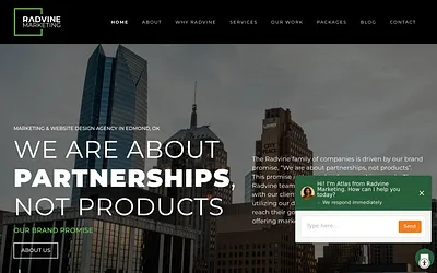 radvinemarketing.com snapshot