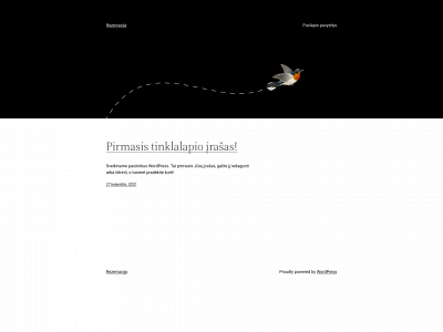 raimondas2.puslapiai.lt snapshot