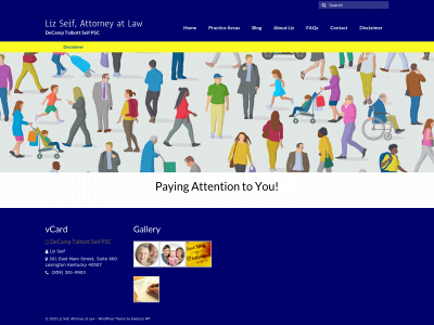 lizseiflaw.com snapshot