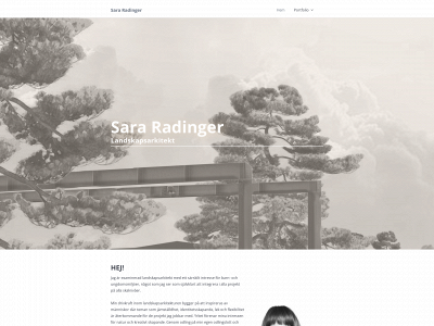 sararadinger.se snapshot