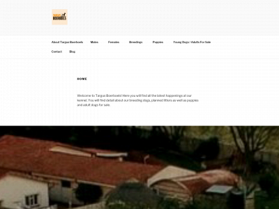 targusboerboel.com snapshot