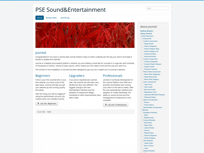 pse.rocks snapshot