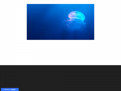 wikicode.weebly.com snapshot