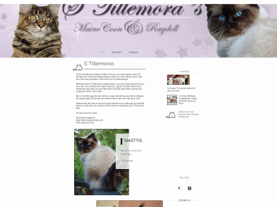 tillemoras.com snapshot