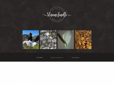 slanachadh.com snapshot