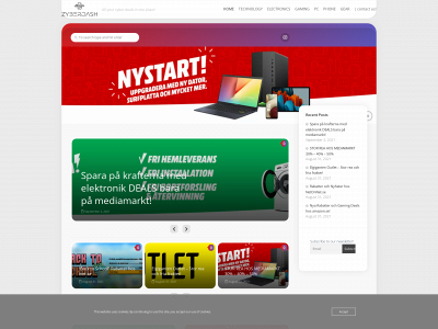 zyberdash.com snapshot