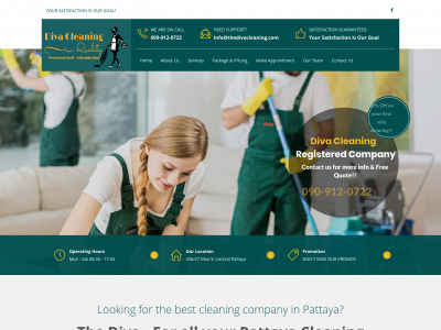 thedivacleaning.com snapshot
