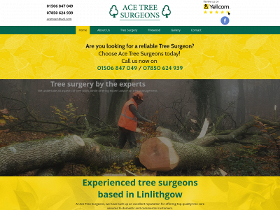 treesurgeonswestlothian.co.uk snapshot
