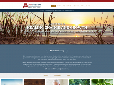 bobrobinsoncounseling.com snapshot