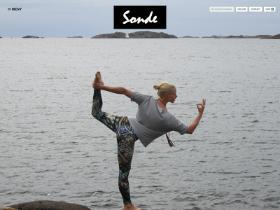 sondedesign.se snapshot