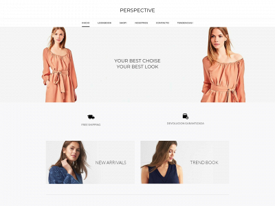 perspectivecvi.weebly.com snapshot