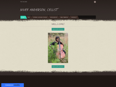 www.nivekanderson.com snapshot