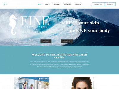 fineaesthetics.com snapshot