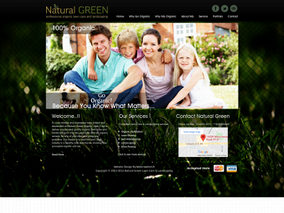 naturalgreenlawncare.com snapshot