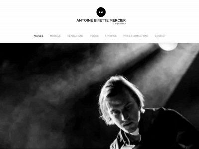 abinettemercier.com snapshot